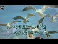 아싸매직씽 이승재 눈동자 karaoke magicsing