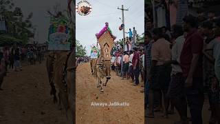 #jallikattu #trend #bull #movie #arrahman #song #bgm #bull #tdpsongs #musicgenre #trend #jallikattu