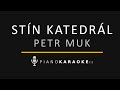 Petr Muk - Stín katedrál | Piano Karaoke Instrumental