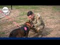 Retired military dog reunites with previous handler