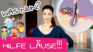 Kopfläuse bei Kindern erkennen und behandeln - Das musst du tun!