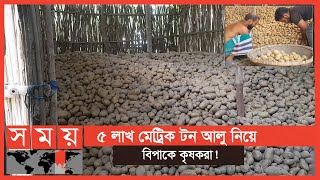 স্থানীয় পদ্ধতিতে সংরক্ষণ করা হচ্ছে আলু! | Potato Storage | Business News