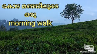 കോട മഞ്ഞിലൂടെ ഒരു morning walk|beauty of wayanad|beauty wayanad|wayanad