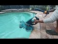 zodiac g3 pool cleaner not moving...1 min fix 😲😲