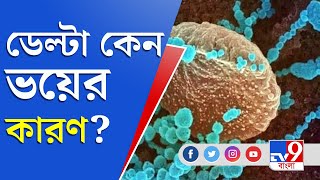 Corona | Delta Variant | কেন দ্বিতীয় ঢেউয়ে মহা বিপদে ফেলতে পারে ডেল্টা?