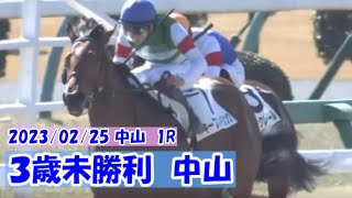 2023/02/25【パドック返し馬つき】中山1R　３歳未勝利戦　　☆キープスマイリング　Quality Road　＃レースは10分ころから