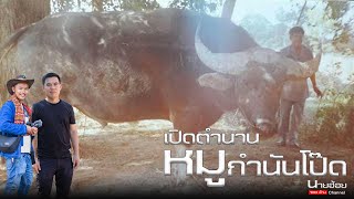 เปิดตำนาน หมู กำนันโป๊ด  โดยท่านรองเอนก เตาสุภาพ / นายฮ้อย100ล้าน