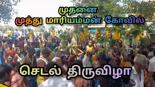 முதனை மாரியம்மன் கோவில் செடல் திருவிழா / mudhanai temple festival  / Dheivangalai thedi