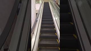 Why are  'Satisfying Movements' so addictive? #Escalators #satisfying