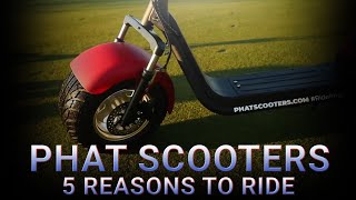 5 Reasons to Ride the Phat Scooters