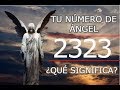 Número de Ángel 2323 | ¿Qué Mensaje Trae Ver Este Número?