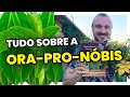 Tudo sobre a ORA-PRO-NÓBIS | Aprenda cultivar