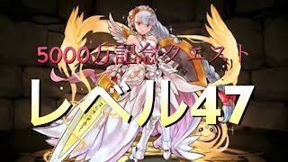 【パズドラ】5000万記念クエスト レベル47 バーバラ\u0026ジュリでクリア！