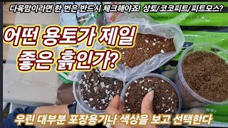 다육이 분갈이 전용토, 상토, 코코피트, 피트모스 ? 도대체 뭐시 중헌디? 그래서 다육이는 어떤 용토를 쓰자는거요? 피트모스? 코코피트? 사박토 010.3436.6631