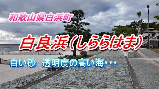 2024年11月　和歌山県白浜町　美しい白砂　透明度の高い海を散策　Strolling Through Shirahama, Wakayama | Pristine White Sands