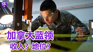 加拿大蓝领比白领收入还高？蓝领工人地位高？