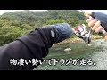 【箱根早川冬季釣り場c u0026r part2】60upのスーパーレインボーがヒット！　ドラグが止まらない！　渓流釣り　渓流ルアー　冬季キャッチ u0026リリース　＃箱根早川でcr