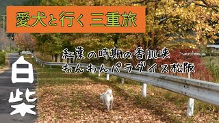 りんたろうと行く三重旅 わんパラ松阪