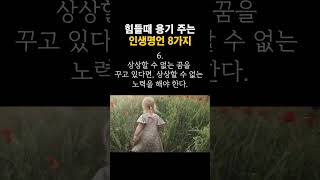 힘들때 용기를 주는 인생명언 8가지 | 오늘의명언 | 좋은글 | 명언모음 | 현실조언 | 쇼츠 #shorts#명언#지혜#인간관계#asmr#힘들때