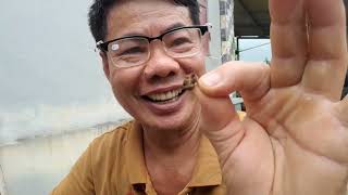 Chia sẻ lợi ích việc thay chúa ko cần nhốt chúa..