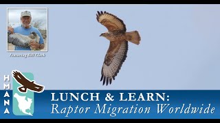 Lunch & Learn Series, Raptor Migration Worldwide