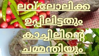 ലവ് ലോലിക്ക ഉപ്പിലിട്ടതും കാച്ചിലിന് ഒരു ചമ്മന്തിയും #Salted Loobi #Special chutney