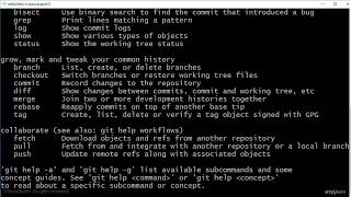 Git Commands Git Tutorial Git Commands With Examples Git Tutorial For Beginners Simplilearn