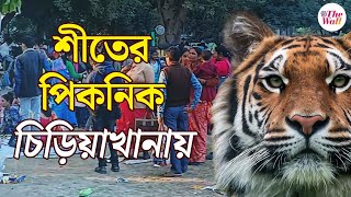 Winter Picnic | Alipore Zoo Kolkata 2024 | শীতের দুপুরে চিড়িয়াখানায় পিকনিকে মাতল বাঙালী