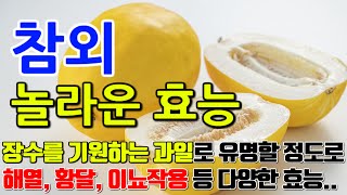 참외의 놀라운 효능 8가지 \u0026 부작용 / \