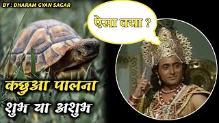 कोई भी कछुआ पालने से पहले ये जान ले ।। क्या घर मे कछुआ पालना चाहिए।। Turtle ।। Tortoise ।। कछुआ ।।