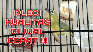 Playtube Pk Ultimate Video Sharing Website