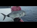 gt fishing in kerama island （japan）／giant trevally