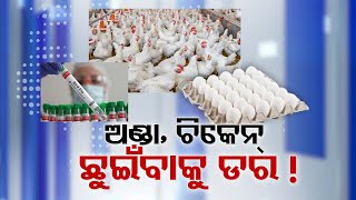 Chicken Centers Suffer After Bird Flu Danger Looms Large in Bhubaneswar, Experts Advise Caution