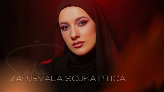 Šaha - ZAPJEVALA SOJKA PTICA