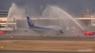 【おかえり！ジャンボ】 ANA Boeing 747-481D JA8961 伊丹遊覧飛行着陸フル