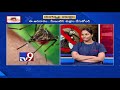 తెలంగాణను వణికిస్తున్న డెంగ్యూ tv9