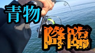 【12時間の激闘】最後に青物が沸いてテンションMAX❗️