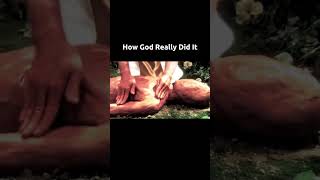 How Humans Were Created