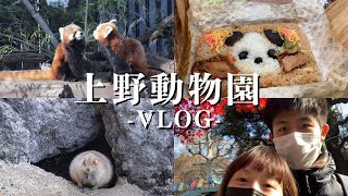 【日本旅遊🇯🇵】上野動物園VLOG🐒🇯🇵/レッサーパンダ超可愛🌸💖