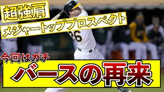 【新助っ人】今回はガチで当たりの模様www【なんJ】【ゆっくり解説】