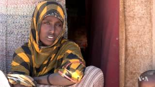 Hunger Claiming Lives in Rain-Starved Somaliland