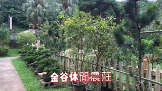 阿榮休閒影片段 位於新埔觀光果園