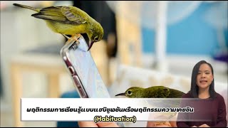 พฤติกรรมความเคยชิน habituation