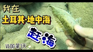 在“土耳其地中海“赶海时，我徒手就抓到了鱼！