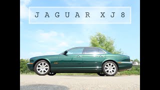 ジャガー XJ8/エンスーの杜　#jaguar #jaguarxj8 #ジャガーxj8