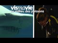 Dépasser sa phobie des poissons - Vis ma vie