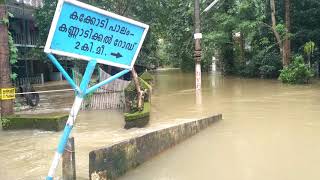 Kozhikode kakkodi floods#flood #kerala #kozhikode #disaster