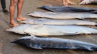 നിങ്ങൾക്ക് പിടക്കുന്ന മീൻ വേണോ | Kozhikode chaliyam fish market