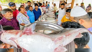 ৬৭০০ টাকা নিলামে পালের চর হাটে পদ্মা নদীর বিশাল আইর! bangladesh fish market!