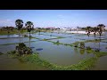 ទិដ្ឋភាពស្រុកយើង cambodia landscape phnom penh 2021